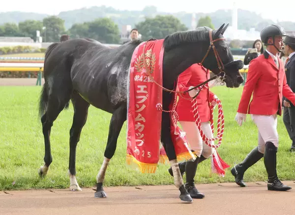 【ＰＯＧ】１４頭除外の抽選突破！！兄ハーデスに続け！全妹ニシノサリーナ１２日デビュー　橋口調教師「いい動きをします」