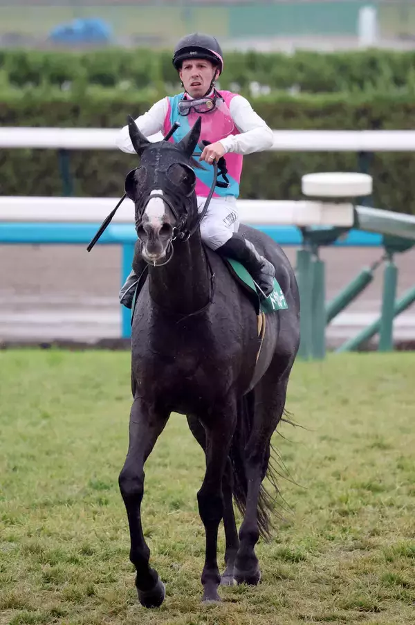 ドゥラエレーデが電撃復帰　昨年末の引退を撤回し大井・藤田輝信厩舎で現役続行へ