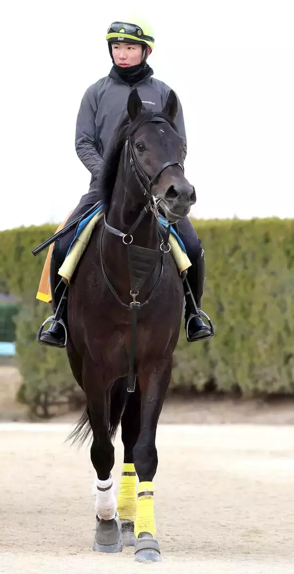 国内外で重賞４勝のクラウンプライドが抹消　今後は韓国で種牡馬の予定