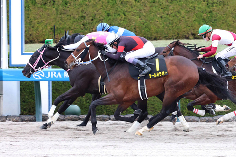 【阪神１１Ｒ・仁川Ｓ】ジューンアヲニヨシが約１年１０か月ぶりのＶ　初コンビの浜中俊騎手「乗りやすい馬でした」