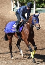 【大阪杯・１週前プレーバック】レーベンスティールが上々の時計をマーク　田中博調教師「落ち着きある」Ｇ１挑戦へ手応え