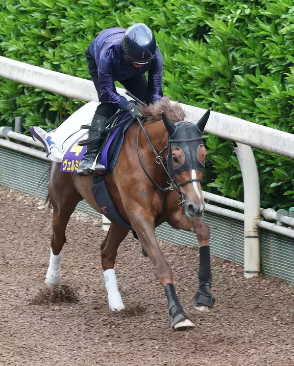 【Ｇ１トク捜リレー】坂路で抜群の最終リハ！吉村調教師も「申し分のない」とヴェルミセルに自信　雨が残ればがさらに怖い