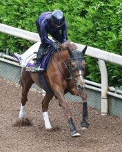 【Ｇ１トク捜リレー】坂路で抜群の最終リハ！吉村調教師も「申し分のない」とヴェルミセルに自信　雨が残ればがさらに怖い