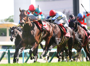 【京都新聞杯・レースメモ】コンジェスタスが無傷３連勝　生産牧場の史上最長記録ノーザンファームが１４週連続重賞勝利