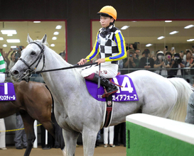 【安田記念】１２度目も…１番人気ガイアフォースは写真判定の末、首差２着　Ｇ１タイトルにあと一歩届かず