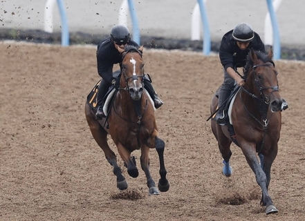 日曜福島競馬場の注目激走馬…福島１１ＲラジオＮＩＫＫＥＩ賞・Ｇ３