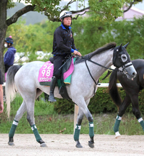 【北九州記念】葵Ｓ勝ち馬のデアヴェローチェが重賞連勝へ　上村調教師「斤量差と勢いで何とかいい競馬をしてほしいね」