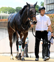 【長岡Ｓ・三戸の特注馬】辻厩舎へ転厩初戦のジャサルディア　得意のマイル戦に戻ってオープン入りを決める