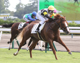 【新潟３Ｒ・２歳新馬】半姉が今年の桜花賞３着、ジップスパークが断然人気に応えて初陣Ｖ　田辺裕信騎手「期待していました」