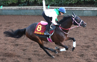 【秋華賞】前走とは違う！タイセイボーグは予定通りの坂路５６秒６　松下調教師「一回使って、良くなっている」