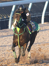 【ホープフルＳ１週前】オルフセンと初コンタクトの岩田望来騎手「感触はすごく良かった」