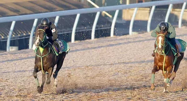 【ホープフルＳ１週前】オルフセンと初コンタクトの岩田望来騎手「感触はすごく良かった」