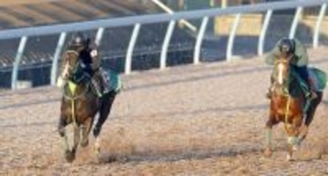 【ホープフルＳ１週前】オルフセンと初コンタクトの岩田望来騎手「感触はすごく良かった」