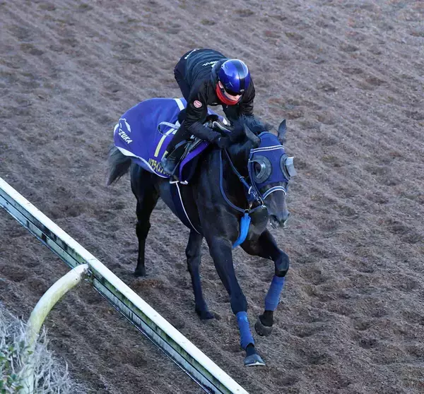 日曜阪神競馬場の注目激走馬…阪神１１Ｒ朝日杯フューチュリティステークス・Ｇ１