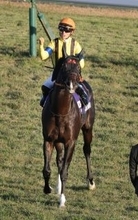 【ＪＲＡ賞】初の満票！最優秀マイラーはジャンタルマンタル　高野調教師「有無をも言わさないパフォーマンス」