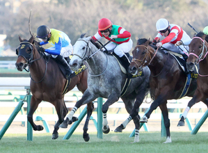 【ニューイヤーＳ】カピリナが横山典弘騎手に導かれてマイル初Ｖ　田島調教師は立ち回りを勝因に挙げる
