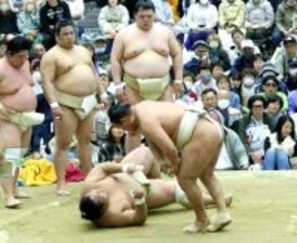 春場所新入幕の藤凌駕が横綱・豊昇龍に初指名されつり落とされ「びっくり」　りくりゅうの木原龍一は同郷で「素晴らしい方」