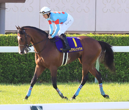 【皐月賞】最優秀２歳牡馬のカヴァレリッツォは１３着　まさかの大敗にレーン騎手は「長く感じました」と距離に言及