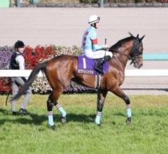 【皐月賞】３番人気のカヴァレリッツォは１３着　昨年の最優秀２歳牡馬がまさかの大敗
