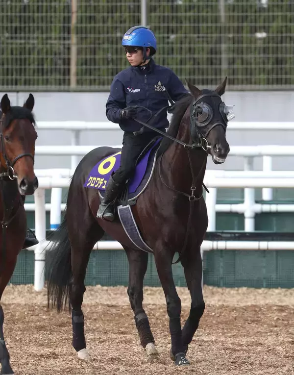 【天皇賞・春】大阪杯からのＧ１連勝へ　クロワデュノールが進む偉大な父をたどる道　陣営「しっかりと動ける状態」