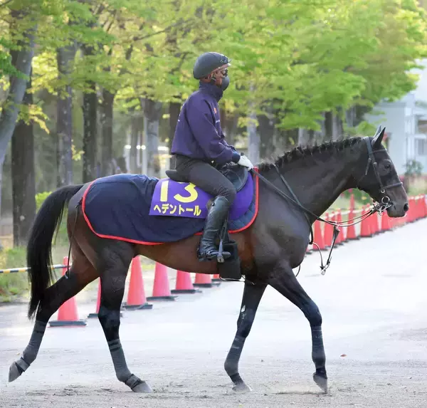 【天皇賞・春・超ブル診断データ編】過去４年で勝ち馬３頭が父の父キングカメハメハ　２４年菊花賞で好走２頭が１着候補