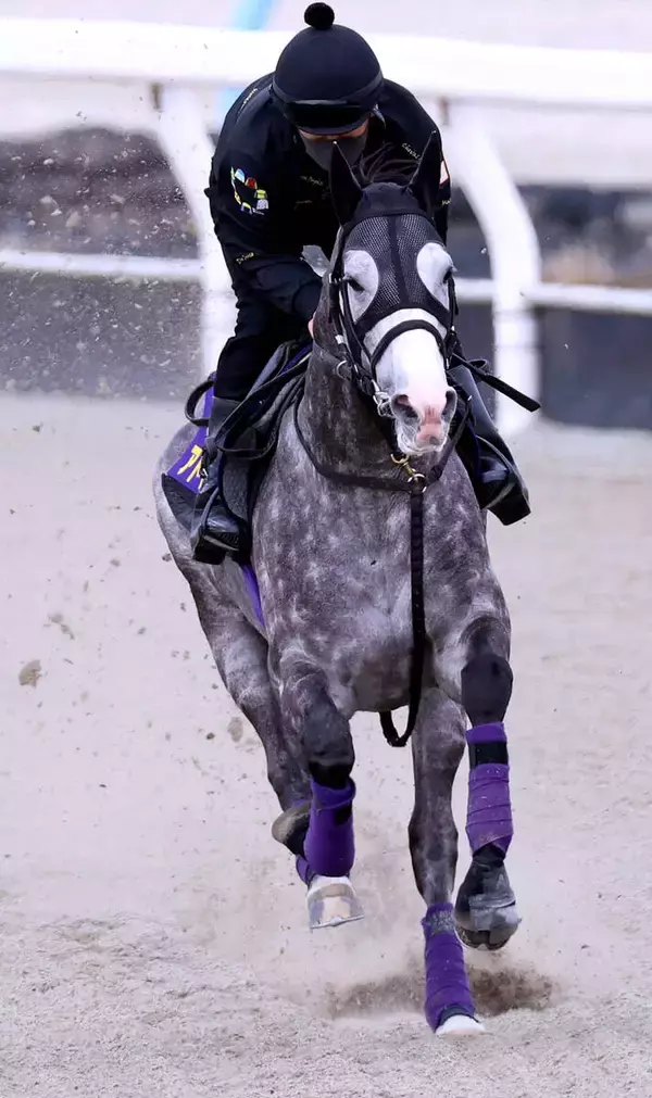 【天皇賞・春・ヤマタケが見た】武豊騎手とＧ１制覇狙うアドマイヤテラは万全　調整役の荻野琢真騎手が感じる変化とは　