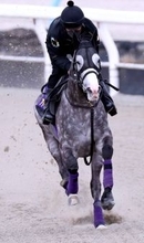 【天皇賞・春・ヤマタケが見た】武豊騎手とＧ１制覇狙うアドマイヤテラは万全　調整役の荻野琢真騎手が感じる変化とは　