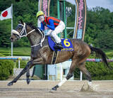 「【注目馬動向】サキドリトッケンは九州優駿栄城賞へ　地元佐賀で重賞７連勝中「佐賀３歳三冠も達成するのか？！？」」の画像1