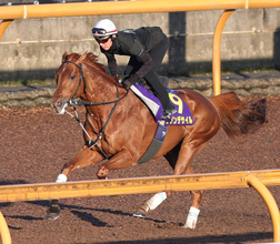 【宝塚記念】２４年ダービー馬は冷静さ十分にＣＷを単走　豪華メンバーにも安田調教師「ダノンデサイルしか映っていない」