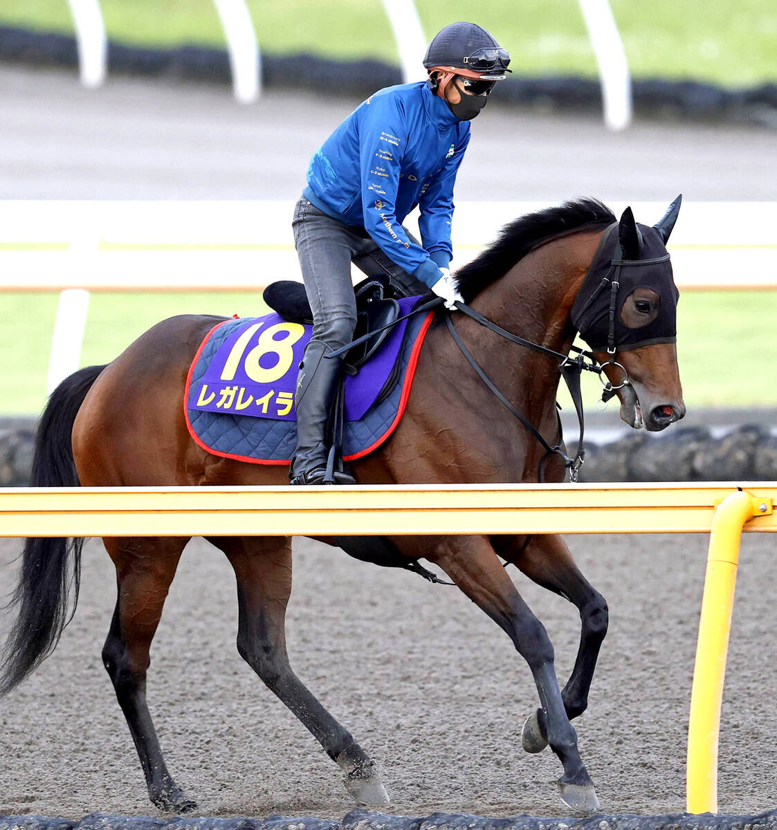 【宝塚記念・枠番確定】レガレイラは過去１勝の８枠１７番に　木村調教師「しっかりと対応できるように」