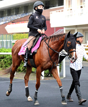【クイーンＳ・土曜気配】ミュージアムマイルの半妹フェスティバルヒル　唯一の３歳馬が古馬撃破へ　陣営「５２キロは大きい」