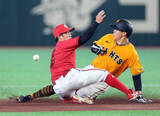 「【巨人】佐々木俊輔が自己最長の１０試合連続出塁！左前打→二盗でチャンスメイク　先制はならず」の画像1