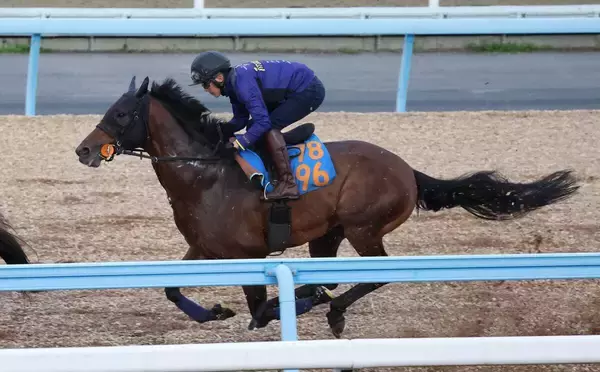 【毎日王冠】レガーロデルシエロは併せ馬で納得の併入　栗田調教師「一連の状態はキープできている」