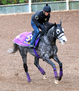 【有馬記念】アドマイヤテラはファン投票「逆転」で“当確”圏内へ　ＪＣでカラ馬「先頭」の激走が影響か