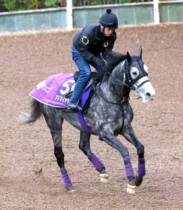 【有馬記念】アドマイヤテラはファン投票「逆転」で“当確”圏内へ　ＪＣでカラ馬「先頭」の激走が影響か