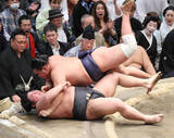 「豊昇龍、大の里、安青錦が１敗を守る　勝ちっ放しの阿炎が敗れ、１敗で首位に６人が並ぶ」の画像1