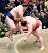 熱海富士が連日の金星獲得　今場所の義ノ富士に続く２日連続の金星は戦後２３例目　優勝争いでもトップタイの２敗