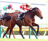 「【注目馬動向】先週の箱根特別を制したレッドバンデは阪神大賞典へ」の画像1