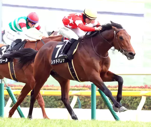 【注目馬動向】先週の箱根特別を制したレッドバンデは阪神大賞典へ