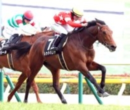 【注目馬動向】先週の箱根特別を制したレッドバンデは阪神大賞典へ