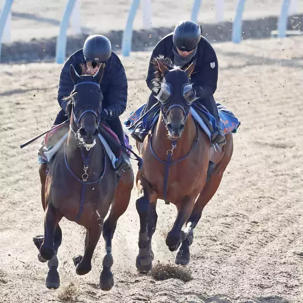 【報知杯ＦＲ】京王杯２歳Ｓ３着のトワニ　蛯名正調教師「具合は安定している」実績十分の７ハロンで巻き返しへ