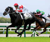 「レーン騎手が今回の来日後初勝利　阪神４Ｒのダノンテムズで鮮やかに差し切り「最後にいい脚を見せてくれた」」の画像1