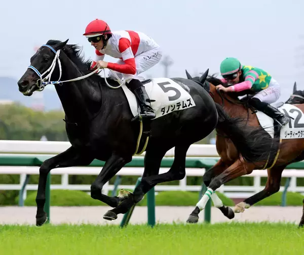 レーン騎手が今回の来日後初勝利　阪神４Ｒのダノンテムズで鮮やかに差し切り「最後にいい脚を見せてくれた」