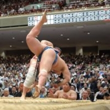 琴栄峰が初黒星「勝っても負けても、切り替え」…７日目は埼玉栄高の同期対決