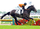 「【東京５R・２歳新馬】叔父がクロワデュノールのジョドレルバンク快勝　エフフォーリア産駒が新種牡馬で一番星」の画像1