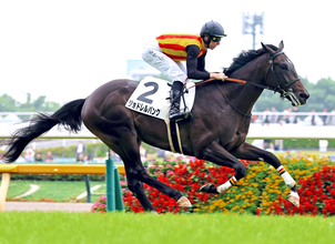 【東京５R・２歳新馬】叔父がクロワデュノールのジョドレルバンク快勝　エフフォーリア産駒が新種牡馬で一番星