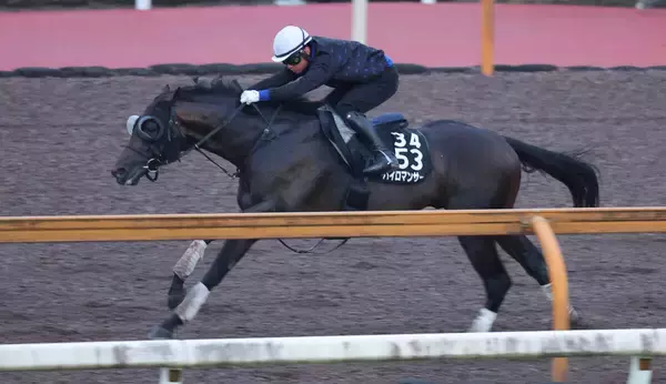 【レパードＳ】Ｊｐｎ１勝ちの実績があるパイロマンサーが帰国初戦で巻き返す　吉村調教師「軌道に乗せていかないと」