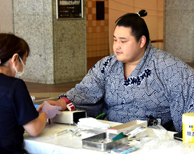 名古屋場所途中休場の幕内・若ノ勝「ケガをした時は悔しかったが、学べるものもたくさんあった」　秋場所へ「出る気で稽古をしている」