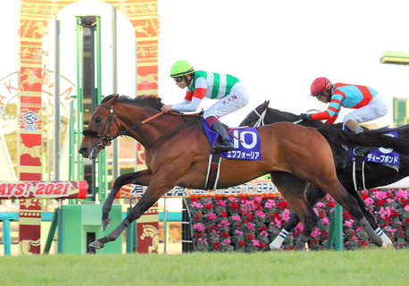 【２２日の注目・新潟５Ｒ】全兄に２１年の年度代表馬エフフォーリアを持つ良血馬　エヴィーヴァがマイル戦で待望の初勝利へ