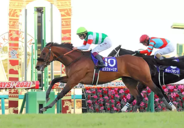 【２２日の注目・新潟５Ｒ】全兄に２１年の年度代表馬エフフォーリアを持つ良血馬　エヴィーヴァがマイル戦で待望の初勝利へ